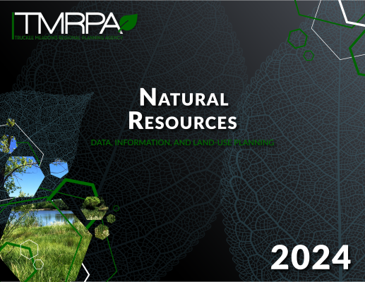 Cover for the Natural Resources Plan document. Black background with subtle green leaf, photo cutouts in shapes of hexagons showing lush green grass at park on a sunny day.